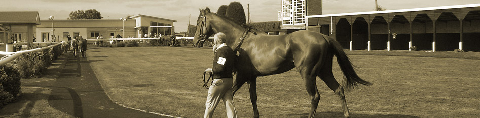 The Yard at Newmarket