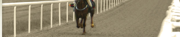 Nick Moore rides out at  Newmarket